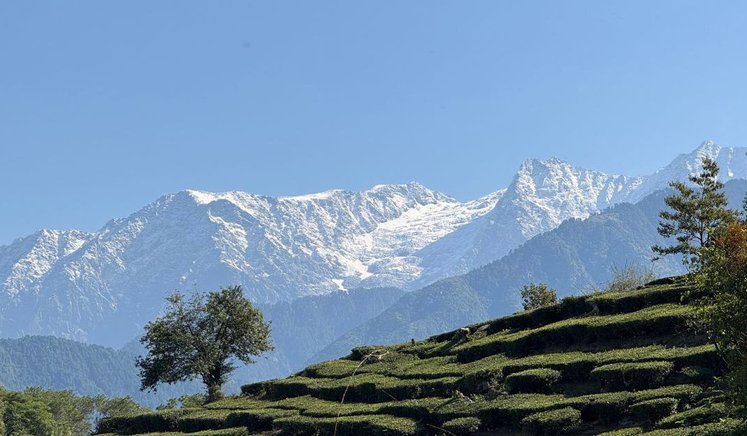 Welcome to SHAPE: A Journey to Peak Performance