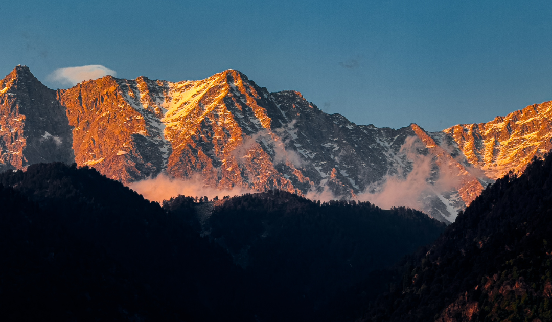 Why We Chose Dharamkot for SHAPE: A Natural Home for Peak Performance