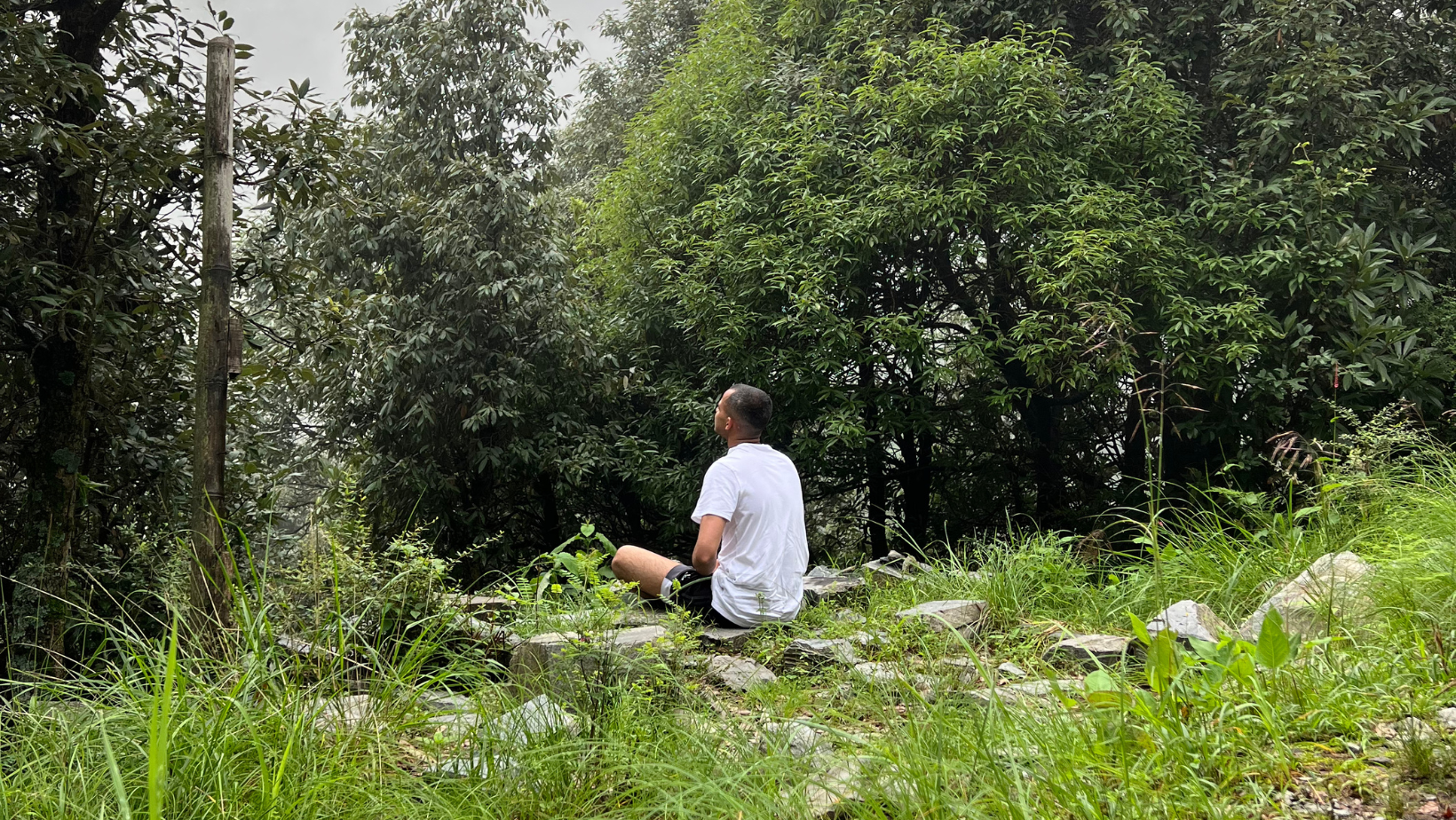 Training with intention at SHAPE experience Meditation and mindfulness at Dharmkot, Dharmshala, Himachal Pradesh