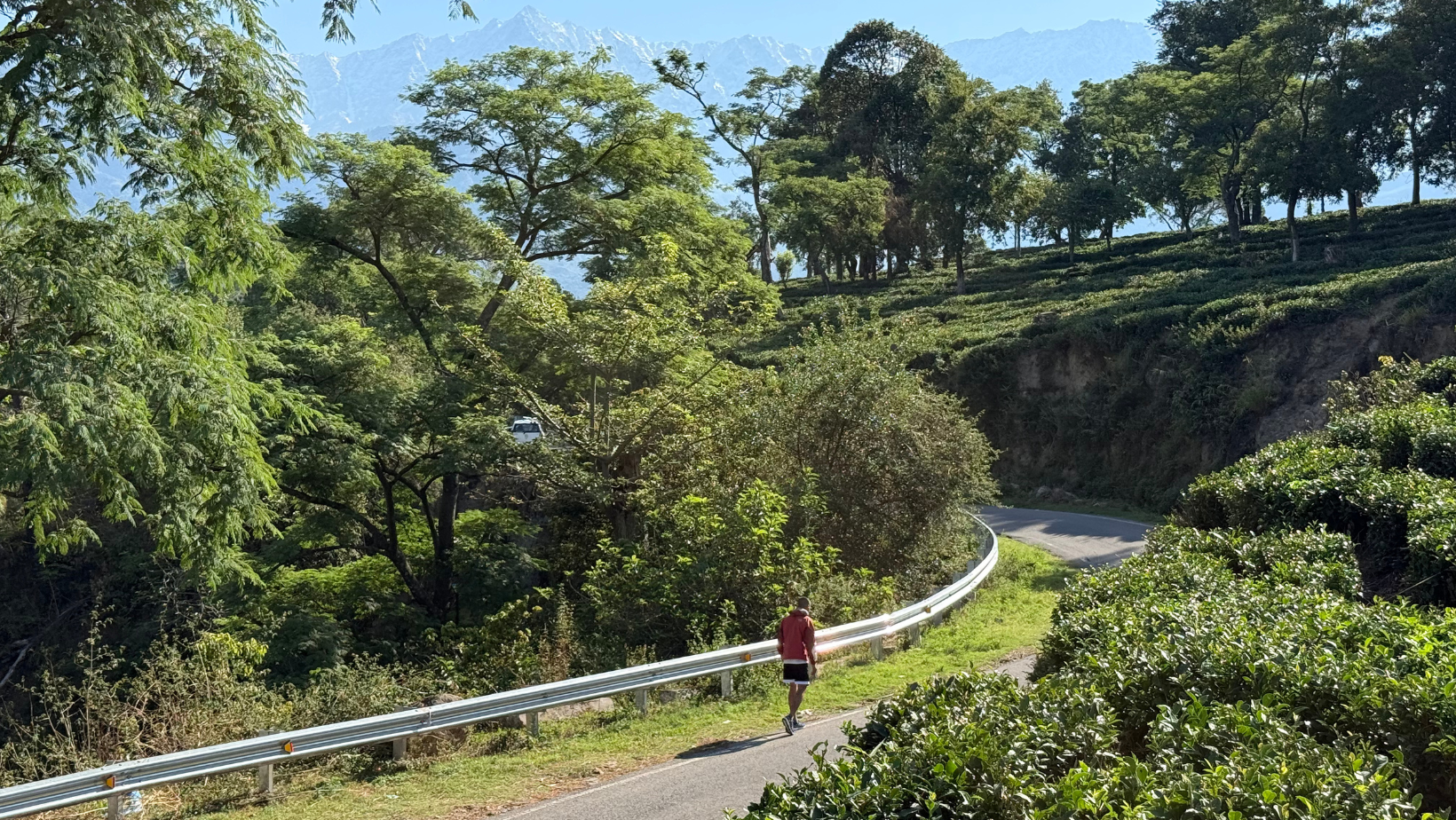 Running trail, Dharamshala Running trails of Dharamshala, Himachal Pradesh, India